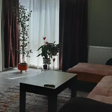 Apartamentul Ina Constanţa